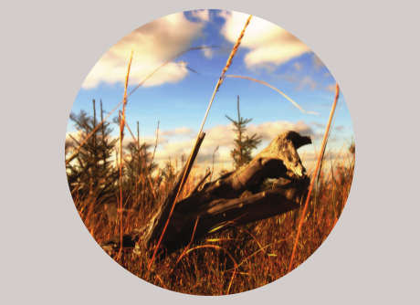 Civilcorp - Environment and Development -